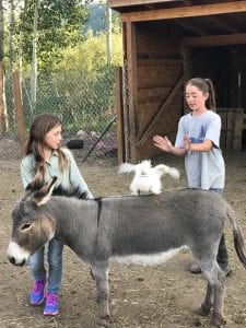Two young girls attempt to train a chicken to ride a donkey, just some of the shenanigans you can find during a family summer vacation at Rawah.