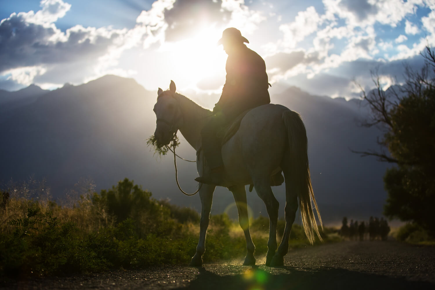 An adult horseback rider stands in the morning sun as he takes advantage of Rawah Resort's Colorado vacation packages.