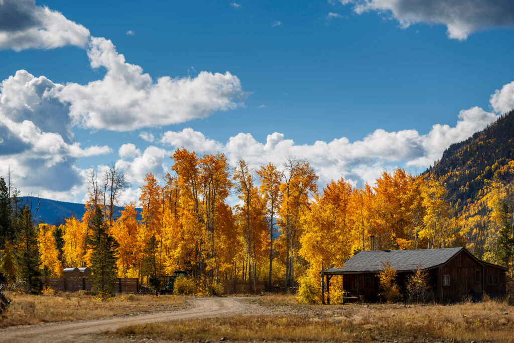 Colorado fall foliage at Rawah Ranch,