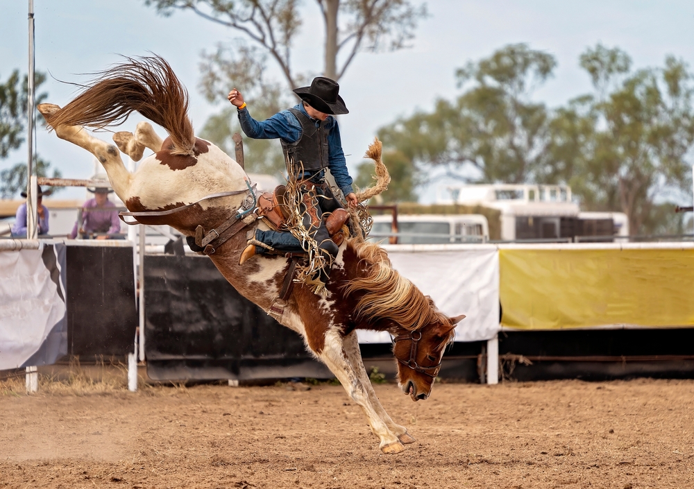 Person riding horse during rodeo in Colorado