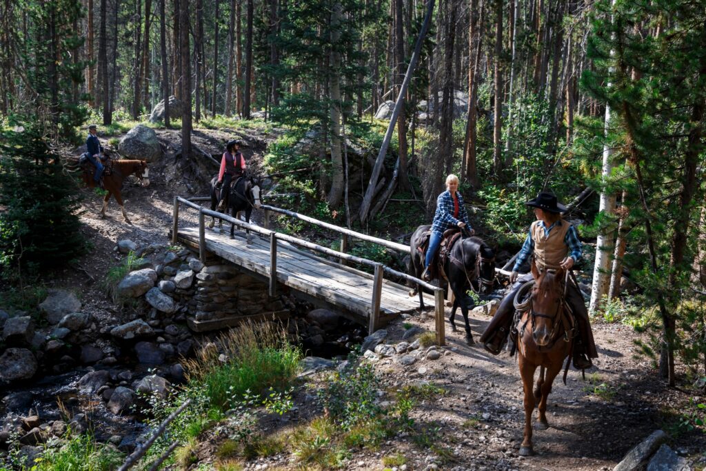 Group riding horses over a bridge in the forest during a Colorado Rocky Mountains summer vacation