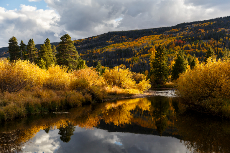 Fall colors in Colorado mountains at Rawah Ranch